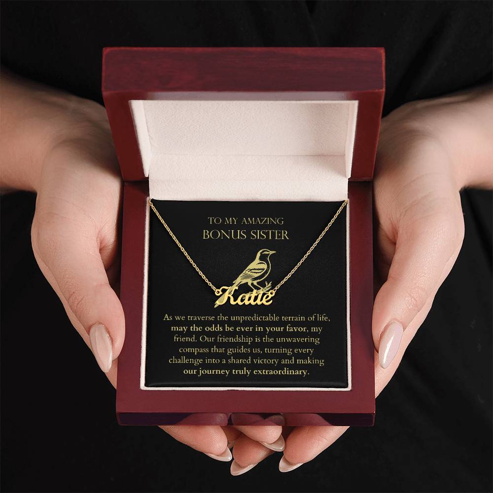 Bonus Sister - Our Journey Truly Extraordinary Personalized Name Necklace